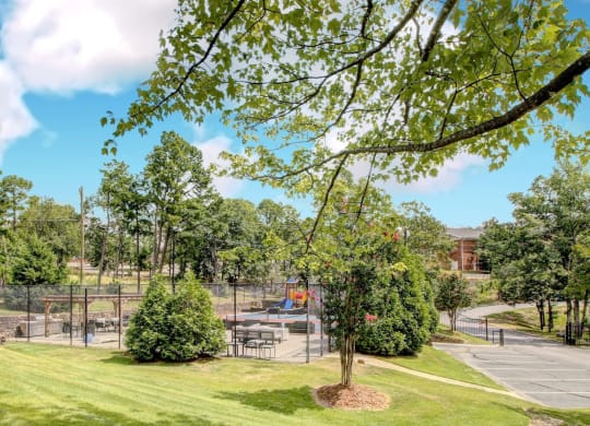 a park with a playground and trees