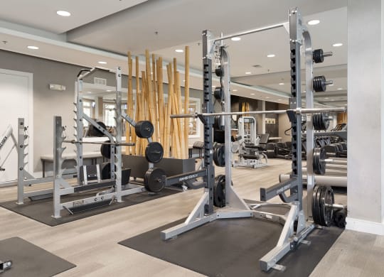 a gym with weights and dumbbells on the floor at Orleans Apartments Apartments, Columbus, OH