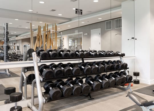 a row of weights in a gym with mirrors on the wall at Orleans Apartments, Columbus