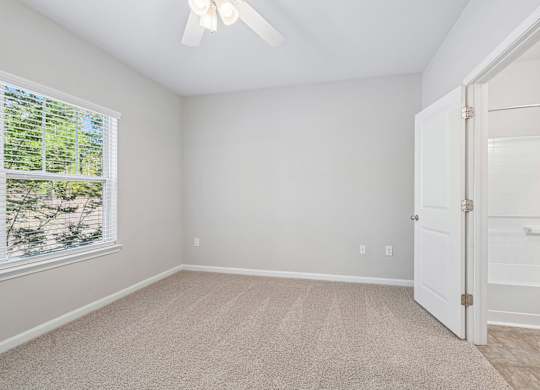 A room with a window, carpet, and a ceiling fan.