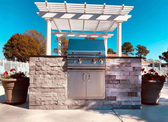 Grills at Coastline Apartments in Virginia Beach