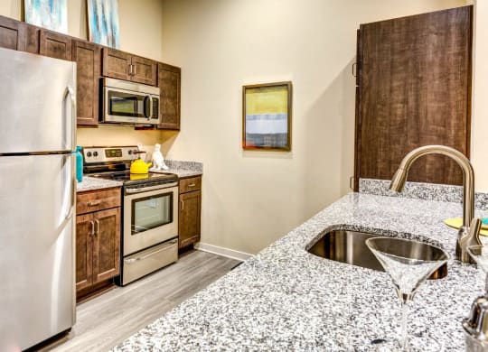 Venture Apartments at Tech Center Kitchen