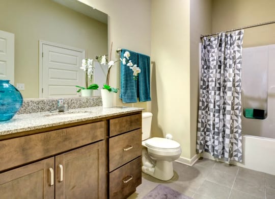 Bathroom of the Venture Apartments iN Tech Center in Newport News VA
