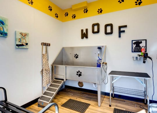 Pet Friendly Apartments in Newport News VA