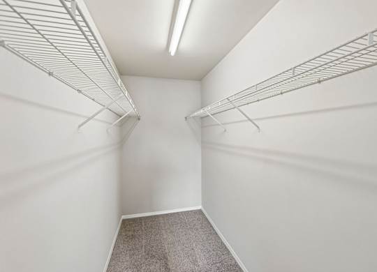 A white walk-in closet with shelving and a carpeted floor.