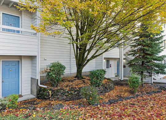 Tree with Yellow leaves in front of house at Peaks on Pines, Spokane Valley, WA