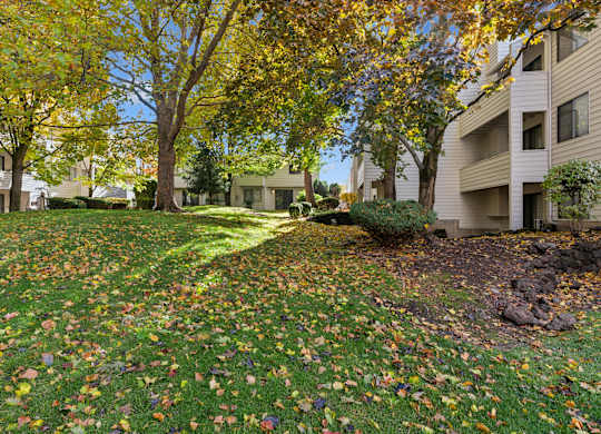 Lush green Lawn Area at Peaks on Pines, Spokane Valley, 99216