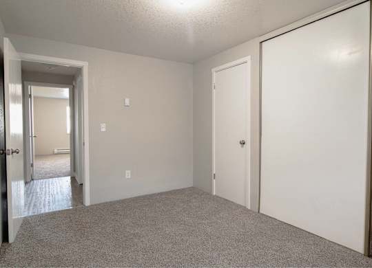 A room with two doors and a carpeted floor.