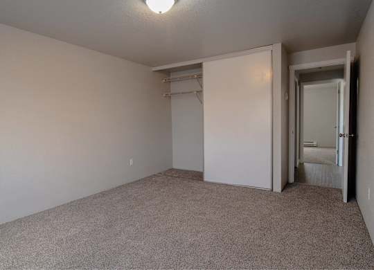 A room with a carpeted floor and a closet with a door.