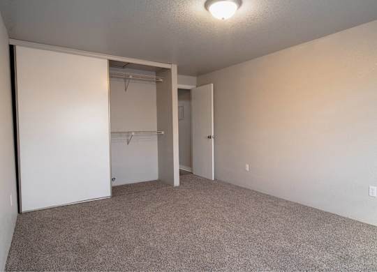 A room with a carpeted floor and a closet with a white door.