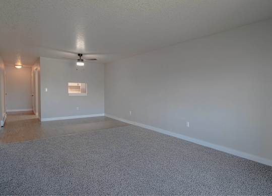 A room with a carpeted floor and a ceiling fan.