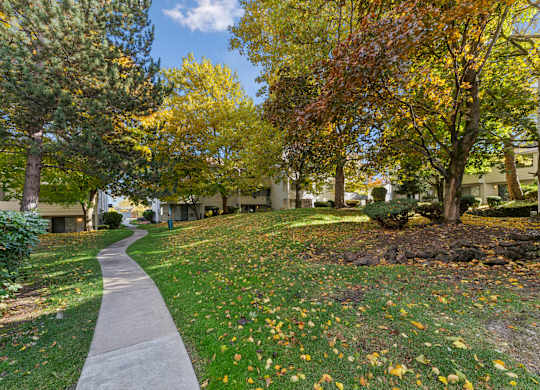 Pathway in a park at Peaks on Pines, Washington