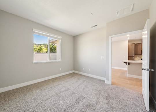 A Room with a Carpeted Floor at Montessa Apartments, California, 95687