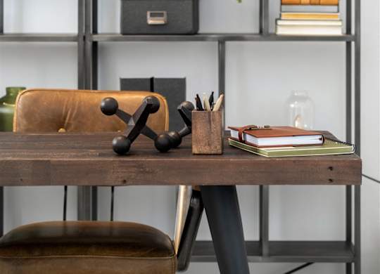A shelf with a green plant on it.