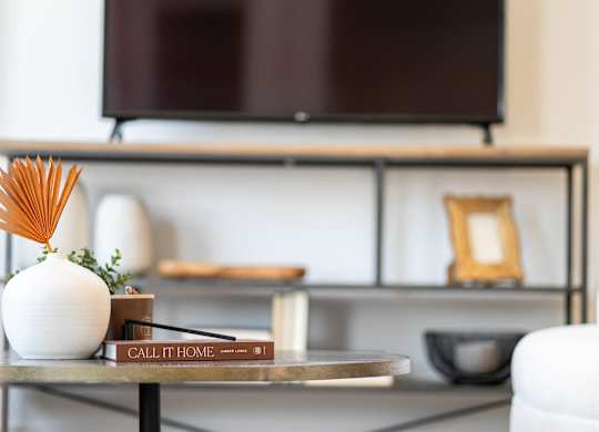 A white vase with a plant sits on a coffee table in front of a television.