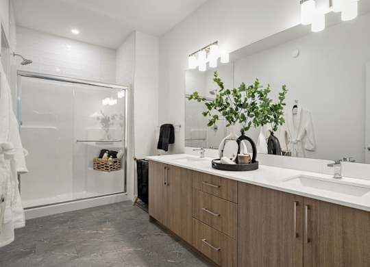 A bathroom with a large mirror, a sink, and a plant on the counter.