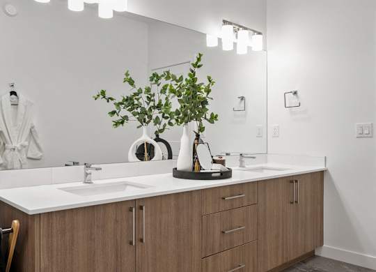 A bathroom with a white counter top and a plant on it.