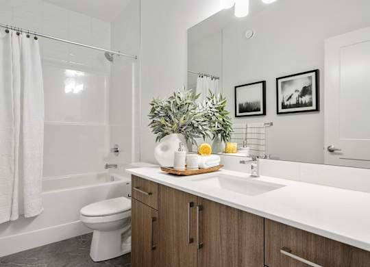 A bathroom with a white sink, toilet, and a shower with a white curtain.