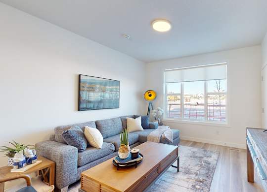 A living room with a grey couch, a wooden coffee table, and a flat screen TV.