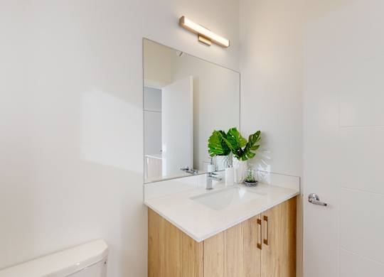 A bathroom with a white countertop and a plant on it.