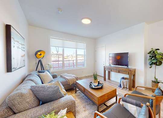 A living room with a grey couch, a wooden coffee table, and a TV on a stand.