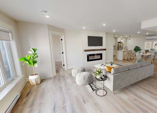 A living room with a grey couch, a television, and a plant.