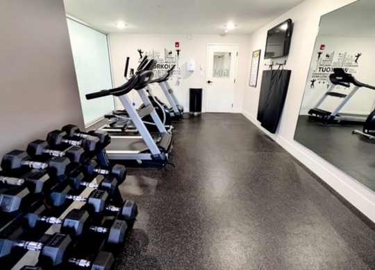 A gym with a row of dumbbells on the left and a mirror on the right.