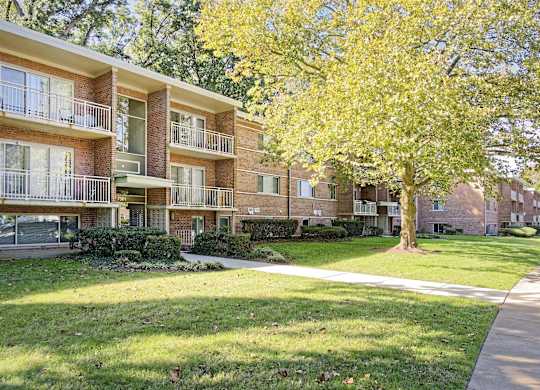 A tree with yellow leaves is in front of apartment buildings.