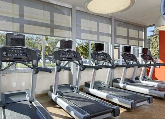 A row of treadmills in a gym with a window in the background.