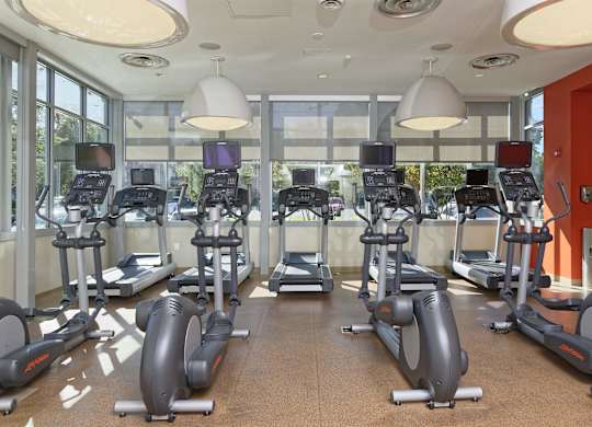 A gym with treadmills and elliptical machines.