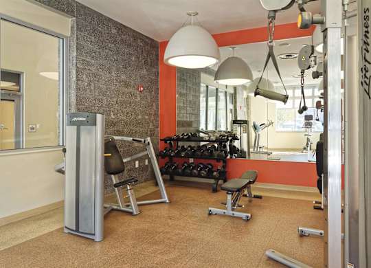 A gym with a variety of equipment including weights and a bench press.