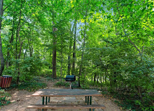 A picnic table sits in the middle of a wooded area.