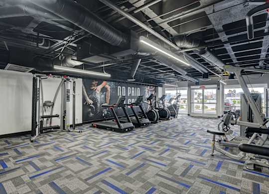 A gym with a variety of equipment including treadmills, weight machines, and a television.