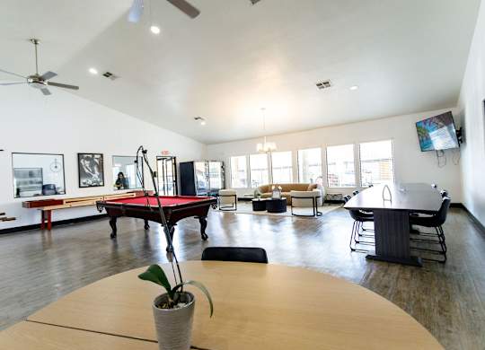 A room with a pool table and a plant in a vase.