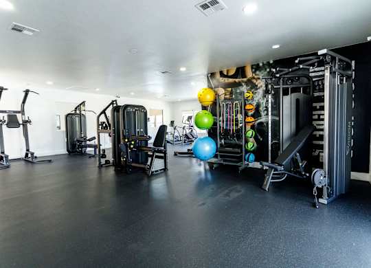 A gym with a variety of equipment including a leg press machine, a chest press machine, a squat rack, and a bench press.