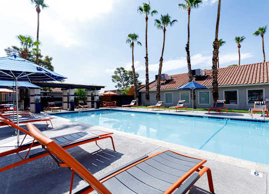 A pool with sun loungers and palm trees in the background.