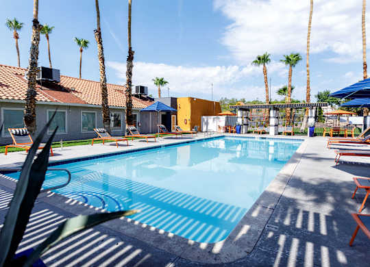 A swimming pool surrounded by palm trees and sun loungers.