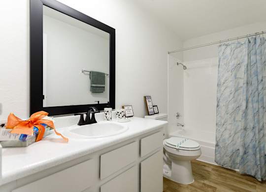 A bathroom with a toilet, sink, and shower.