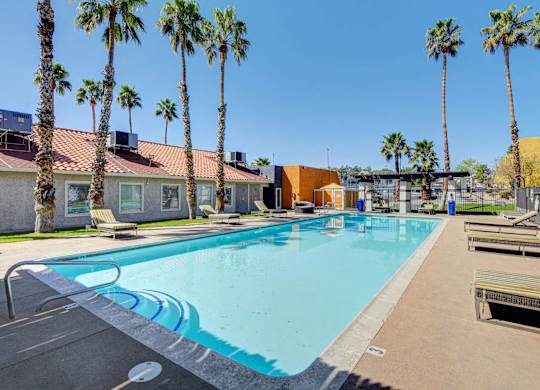 A pool surrounded by palm trees and a building in the background.