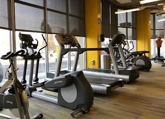 A gym with treadmills and elliptical machines.