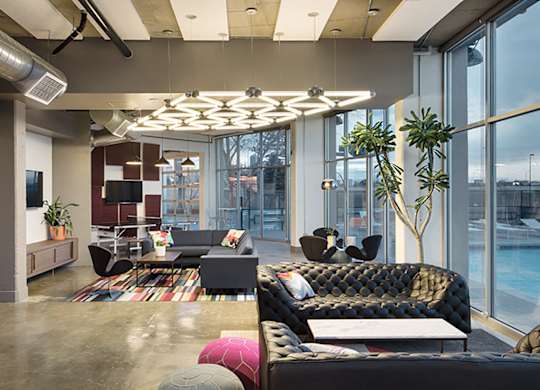 A modern living room with a black sofa and a glass wall.
