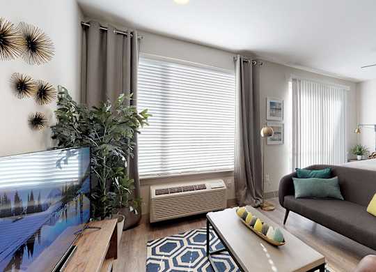 A living room with a couch, a television, and a plant.