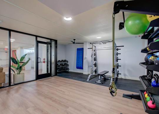 A gym room with a variety of equipment including a squat rack, bench, and weights.