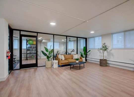 A living room with a couch, a coffee table, and a potted plant.