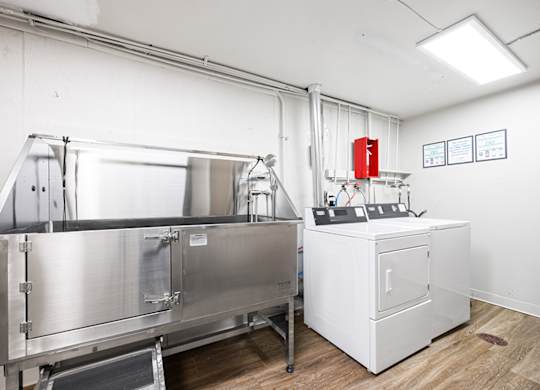 An elevated stainless steel dog wash tub sits in a room next to a laundry washer and dryer.