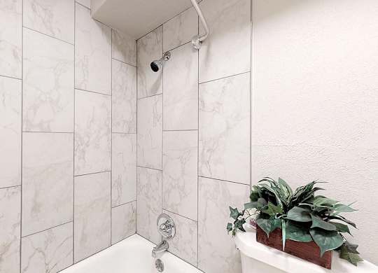 A white bathroom with a marble tile wall and a plant on the tub.