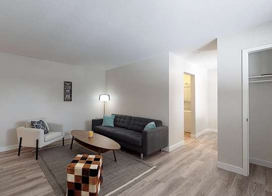 A living room with a black couch, a white chair, a coffee table, and a potted plant.