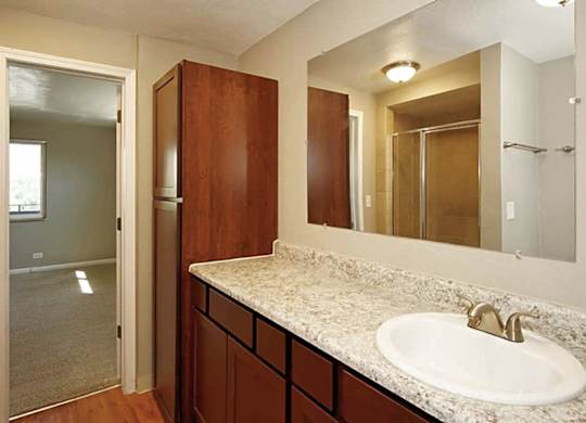 A bathroom with a sink, mirror, and wooden cabinets.