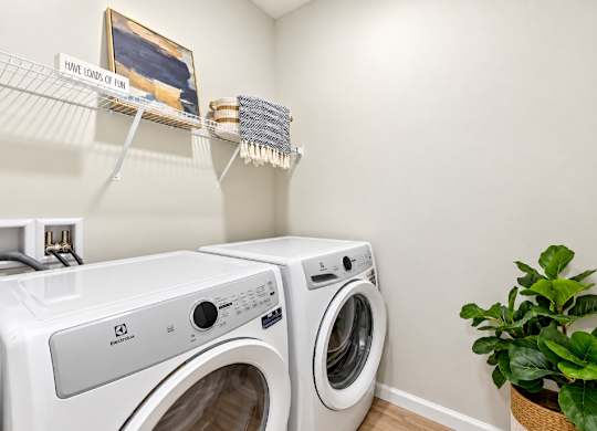 A laundry room with two washing machines and a plant.