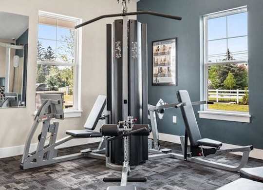 A gym with a variety of equipment including a squat rack, bench, and weights.